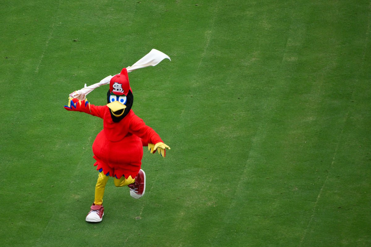 mlbtraderumors's tweet photo. Cardinals Open To Short-Term Addition At Third Base https://t.co/0YI0aajBep https://t.co/hq0LD4PbRA