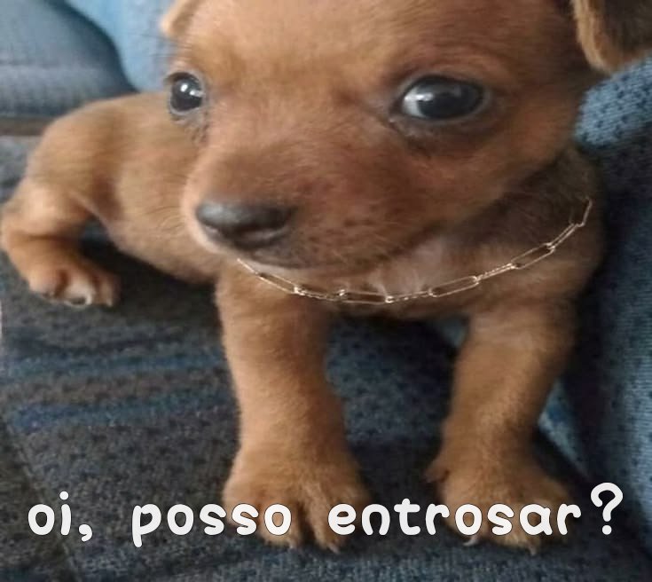 BeChi_s2's tweet photo. Como eu me sinto quando eu vou falar com os amigos dos meus amigos: https://t.co/c8AHSuTMrF