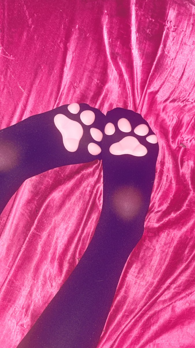 kitteeny_xo's tweet photo. cat socks cameee

#baby #cutecore #egirl #tweencore #daughter #kidcore #small #kitten #cutecore #kawaii https://t.co/bv1fb2JsV7