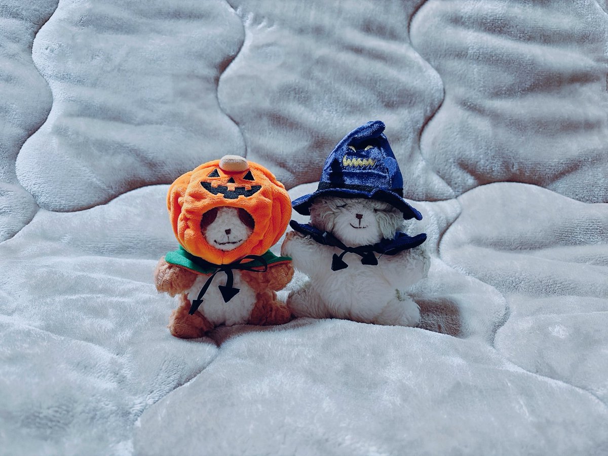 vital_aya's tweet photo. くるぞ　くるぞ〜　🎃👿
きたぞ　きたぞ〜　👻☠️ https://t.co/zPEprjCx49
