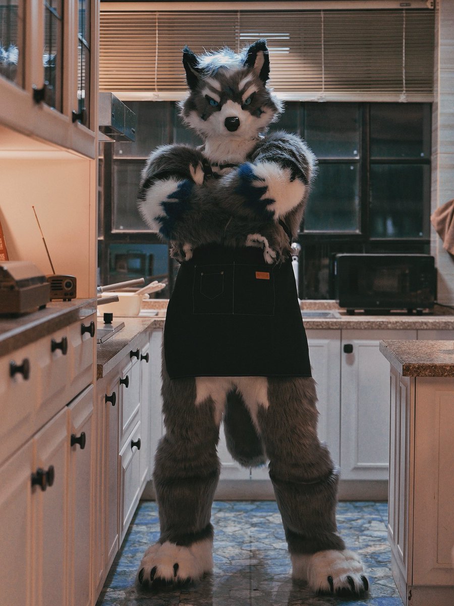 IBarceno's tweet photo. #furry #fursuit 大狗下厨，炒饭里需要加什么？ https://t.co/VUq86BWaJ5