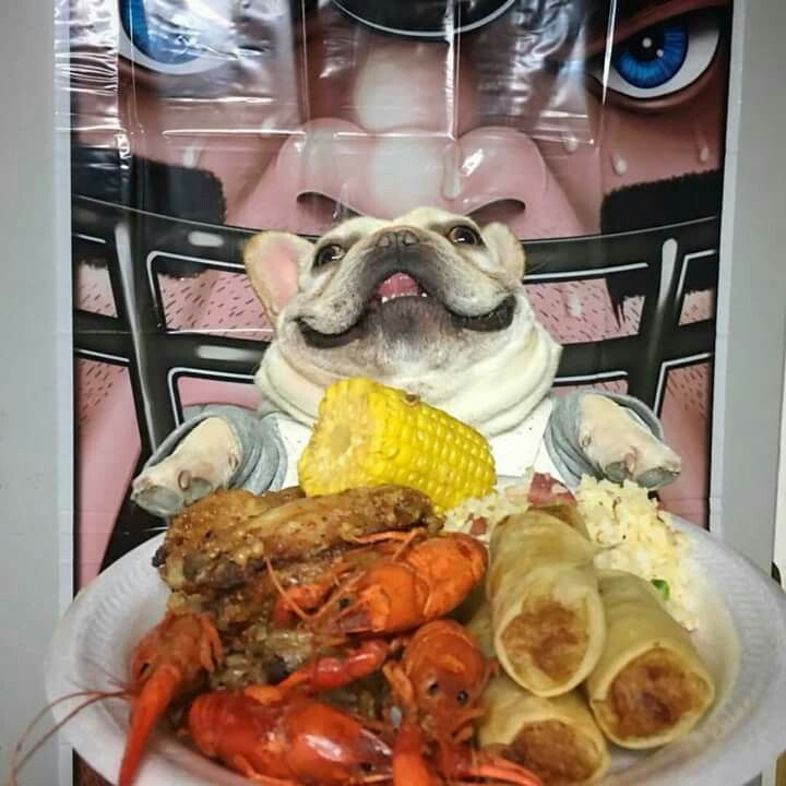 mewepris's tweet photo. me asf https://t.co/zqMK4WZJNr