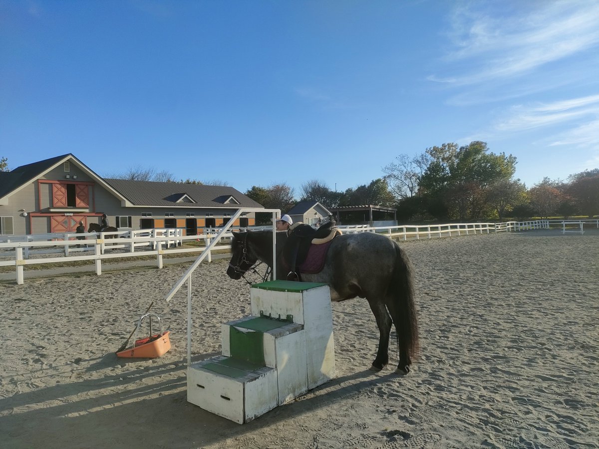 tsukimigumo's tweet photo. 札幌・小樽へ2泊3日。1日目ウトナイ湖でホッキカレー食べて日高へ。ゴルシに会えなかった。土日祝はダメみたい。ライディングヒルズ静内で引馬とニンジンあげした。とっても楽しかった。新冠町の道の駅でピーマンソフト食べた。ほんのり苦みがあってピーマンだった。斬新さ◯普通のソフト美味しかった https://t.co/uG2cifIdOH