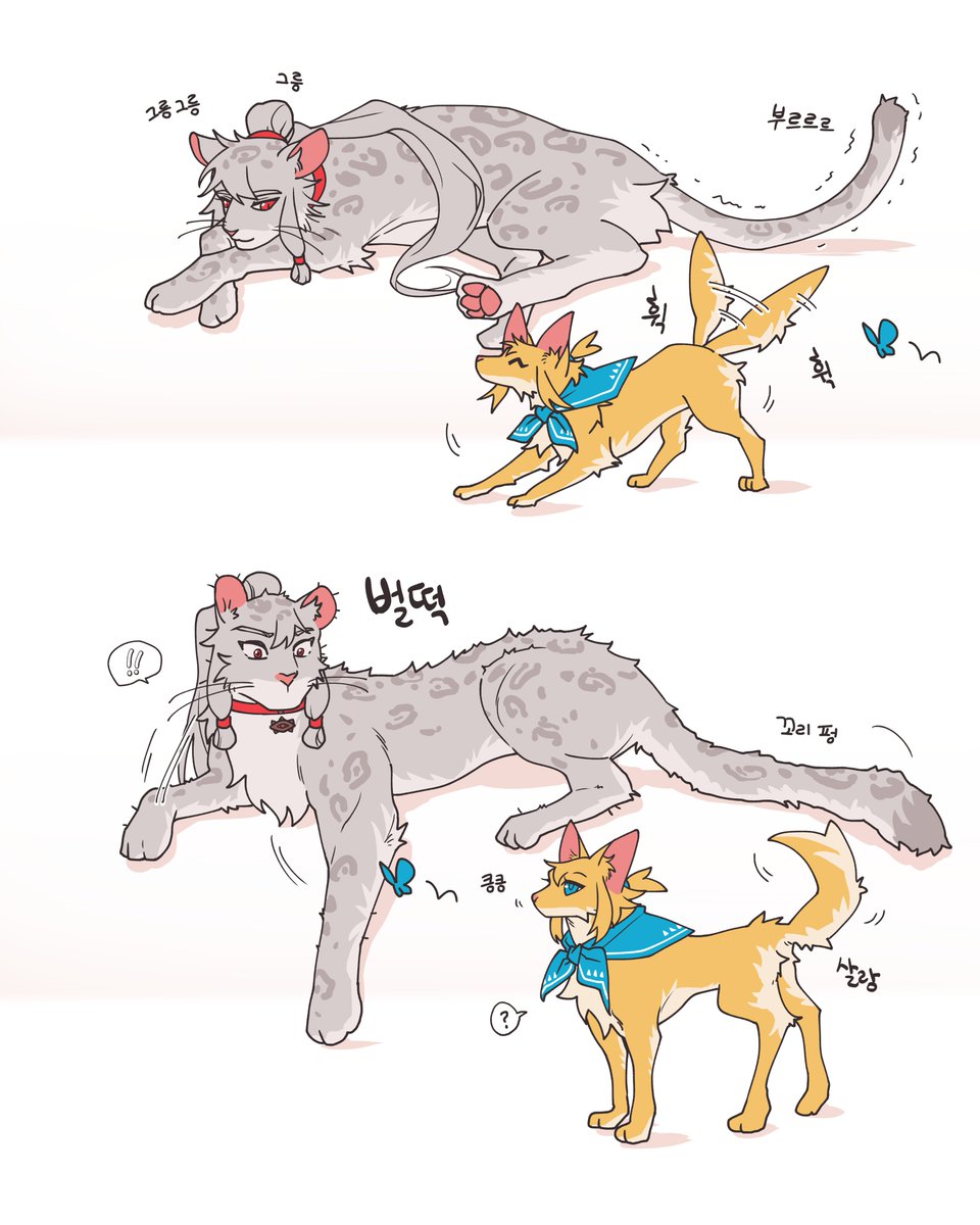 mulchobab's tweet photo. 고냐이가 가나지 너무 조아하는데 이거뭐예요? https://t.co/OY8UV7tA4D
