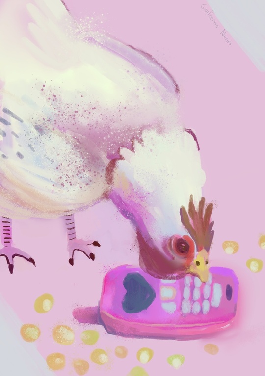 guilhernunes_'s tweet photo. chicken gossiping https://t.co/DODdsLEPUY