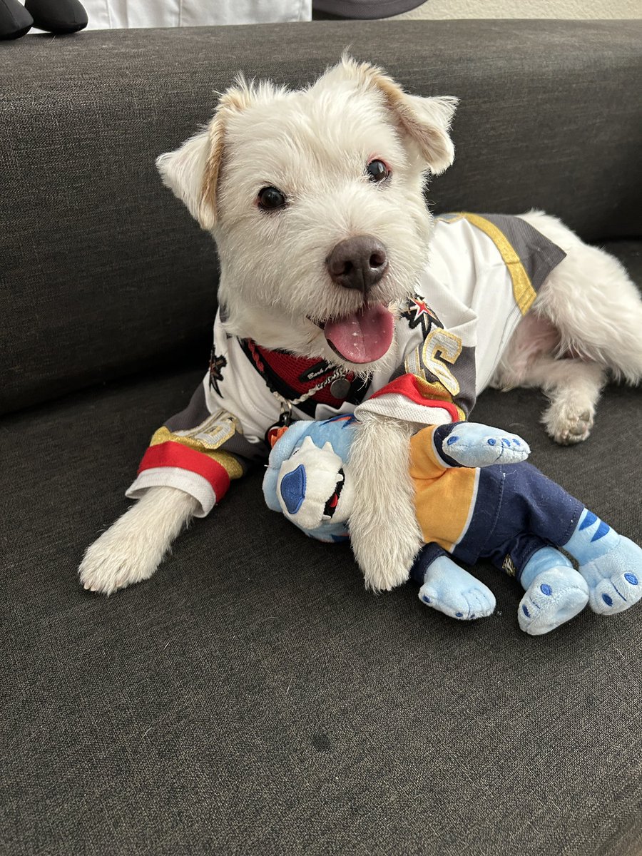 DekeHenriFurry's tweet photo. KNIGHTS WIN!
@GoldenKnights 5
@PredsNHL 2
~ Deke🐾
#VegasBorn       
#GoKnightsGo 
#VGKvsNSH https://t.co/yO6BQklZ0F