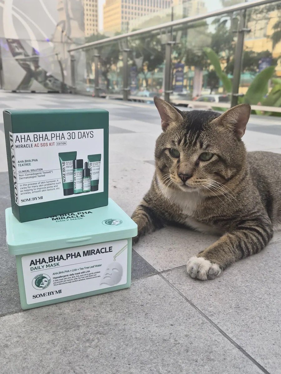 celiazza's tweet photo. parhan si cuking sency akhirnya berhasil di endorse ya 😺 gemes banget ✨ btw kalian udah pernah ketemu parhan di sency atau belum? https://t.co/0bxwjqPd0V