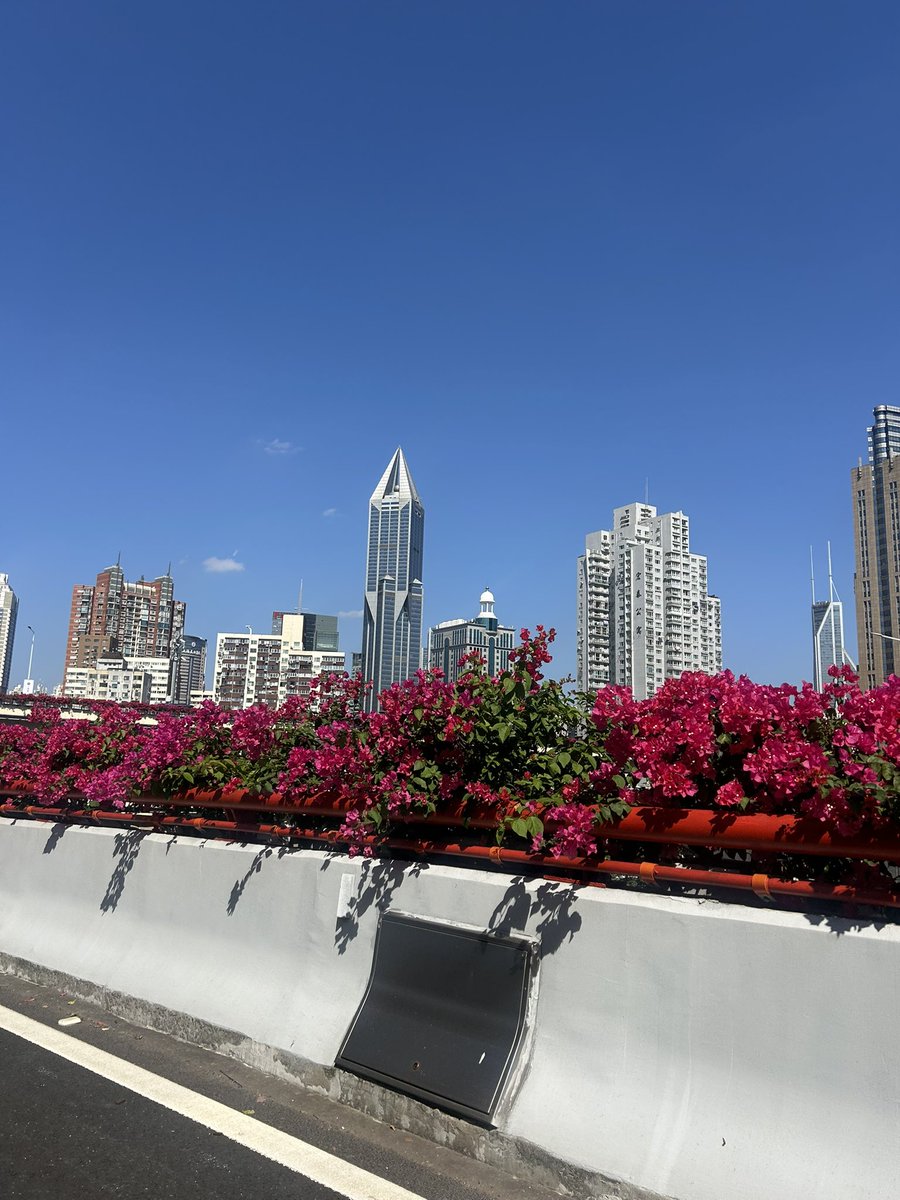 RachelConlan's tweet photo. GM Shanghai! 🇨🇳

Great to be here for Solana Accelerate China. 

Excited to meet local builders and see what’s being built on Solana.

If you’re in Shanghai and would like to join us on October 16, we have a few spots available. Drop me a DM!

➡️ https://t.co/7lW9xJmlkY https://t.co/4SFlettk2O