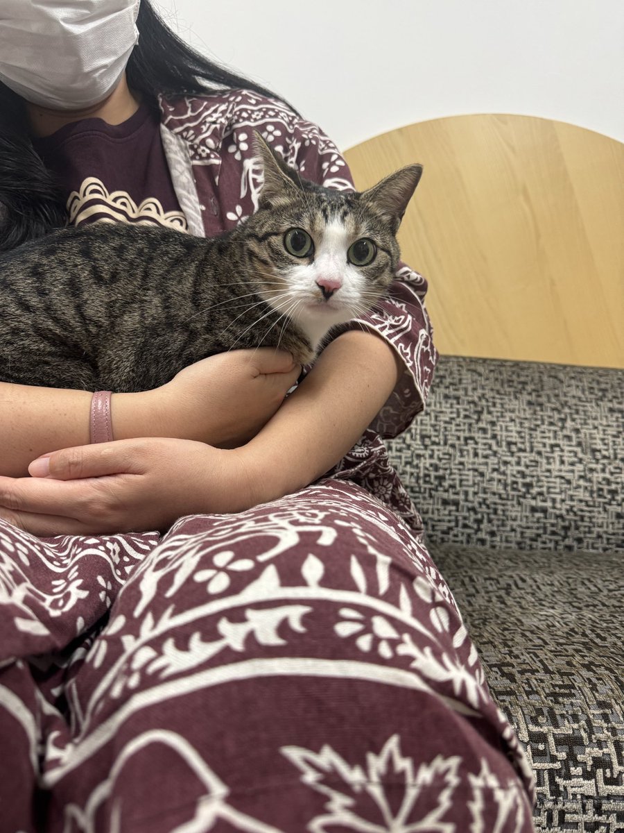 minatomati9582's tweet photo. いろは様。今日も全ての犬猫さんにとっていい日になりますように。 https://t.co/e3YpC431V9