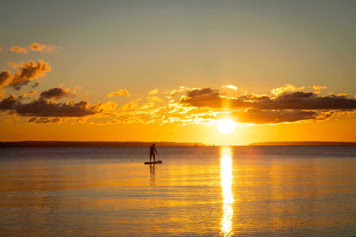 standuppaddletv's tweet photo. Chasing that last bit of daylight.
Board Featured: Aqua Marina AMGO

📸 @descubresinlimites_dsl

#supconnect #paddleboarding #standuppaddle #sunsetpaddle #suplife #paddling https://t.co/EXqzmYc7dM