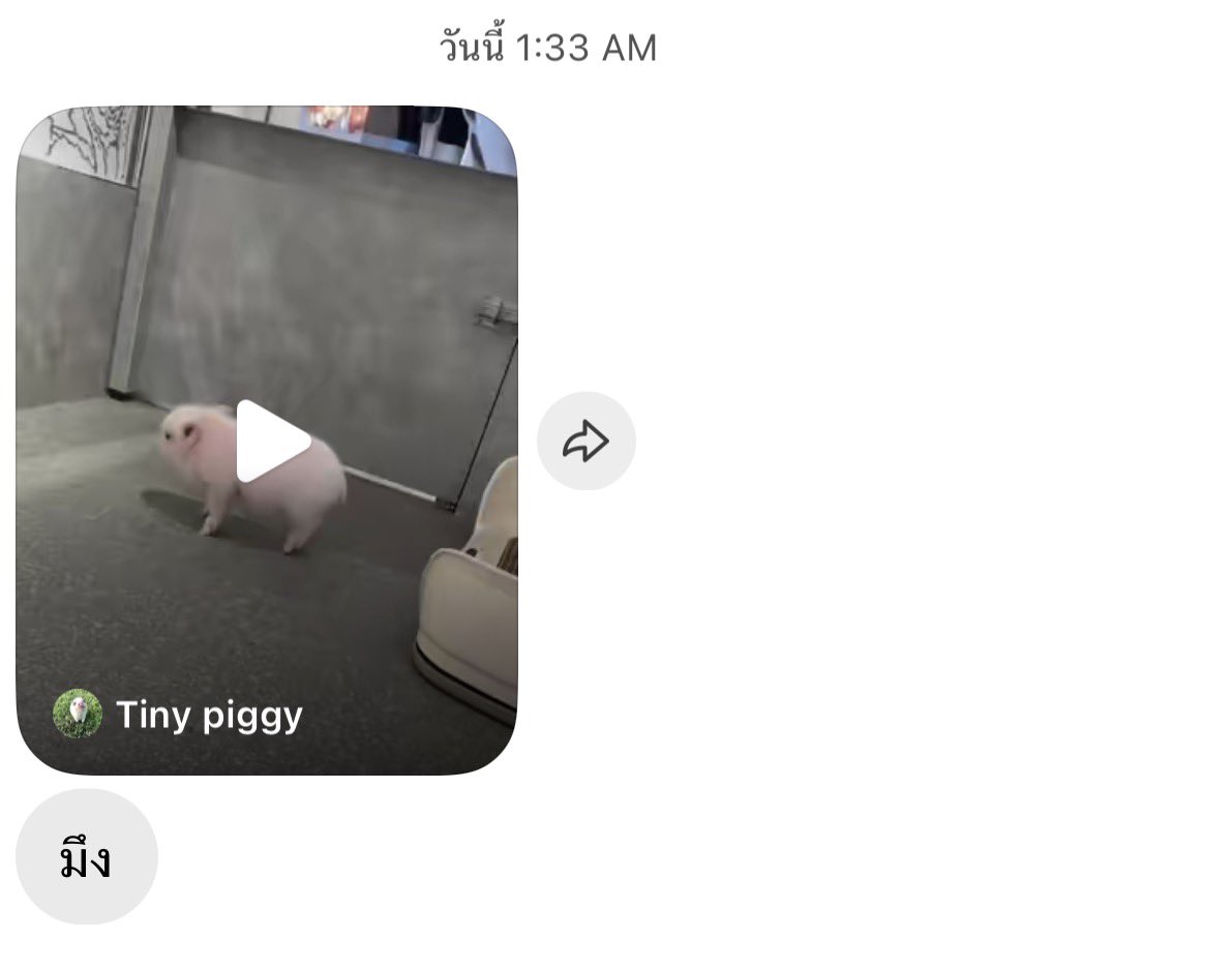 li6hecre's tweet photo. กรู ู ในสายตา ขฟ.. 🐷🐷💌💧💧 อ้วนกมอาลมดี! https://t.co/c5lc2w8pgA