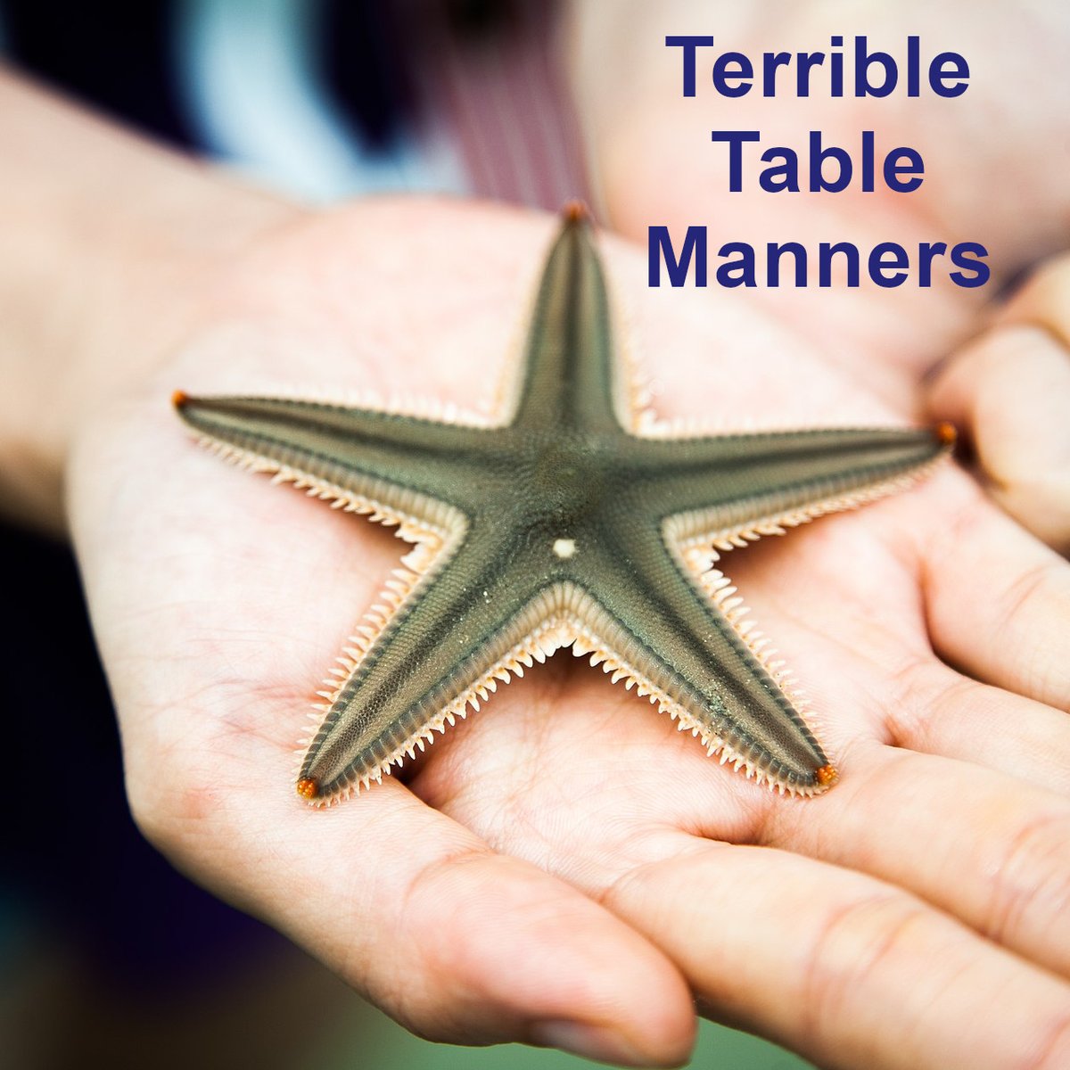 500wayscom's tweet photo. This creature has the worst table manners... Details at https://t.co/OLLDav6Iqv (#starfish, #polite, #tableManners, #digestion, #eating, #zoology, #dinner, #oceanLife, #terrible, #horrible, #yucky, #icky, #disgusting) https://t.co/b6Tz5Hmecl