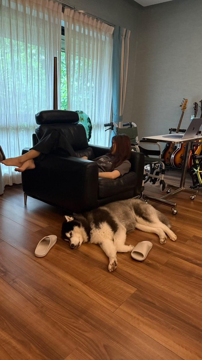 aparicio0675's tweet photo. Esta, se convirtió en mi foto favorita. Ese lugar, donde solo es Nur, la hija de mamá  y papá con sus mascotas. HOGAR.

HAPPY 1 YEAR ANNIVERSARY TKNUR
#HappyChowderDay
#thejungleteam https://t.co/RdsXcG70eG
