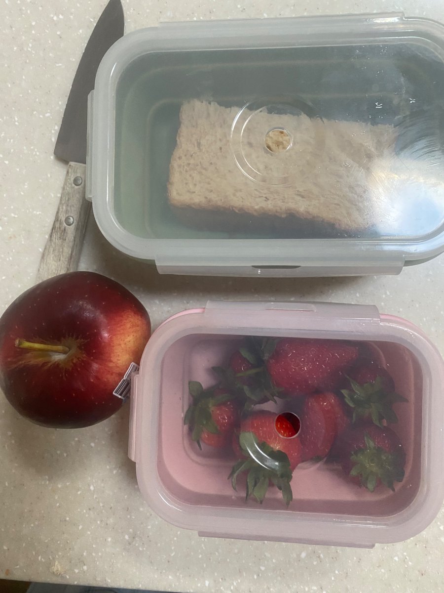 pilowcased's tweet photo. Hi      #edrtwt #shedrtwt
(Pretend the bread has 2 very large spinach leaves in it)
 would this be abt 200-300 kcal, the bread in total is only 90 https://t.co/dtbjUNgQAK