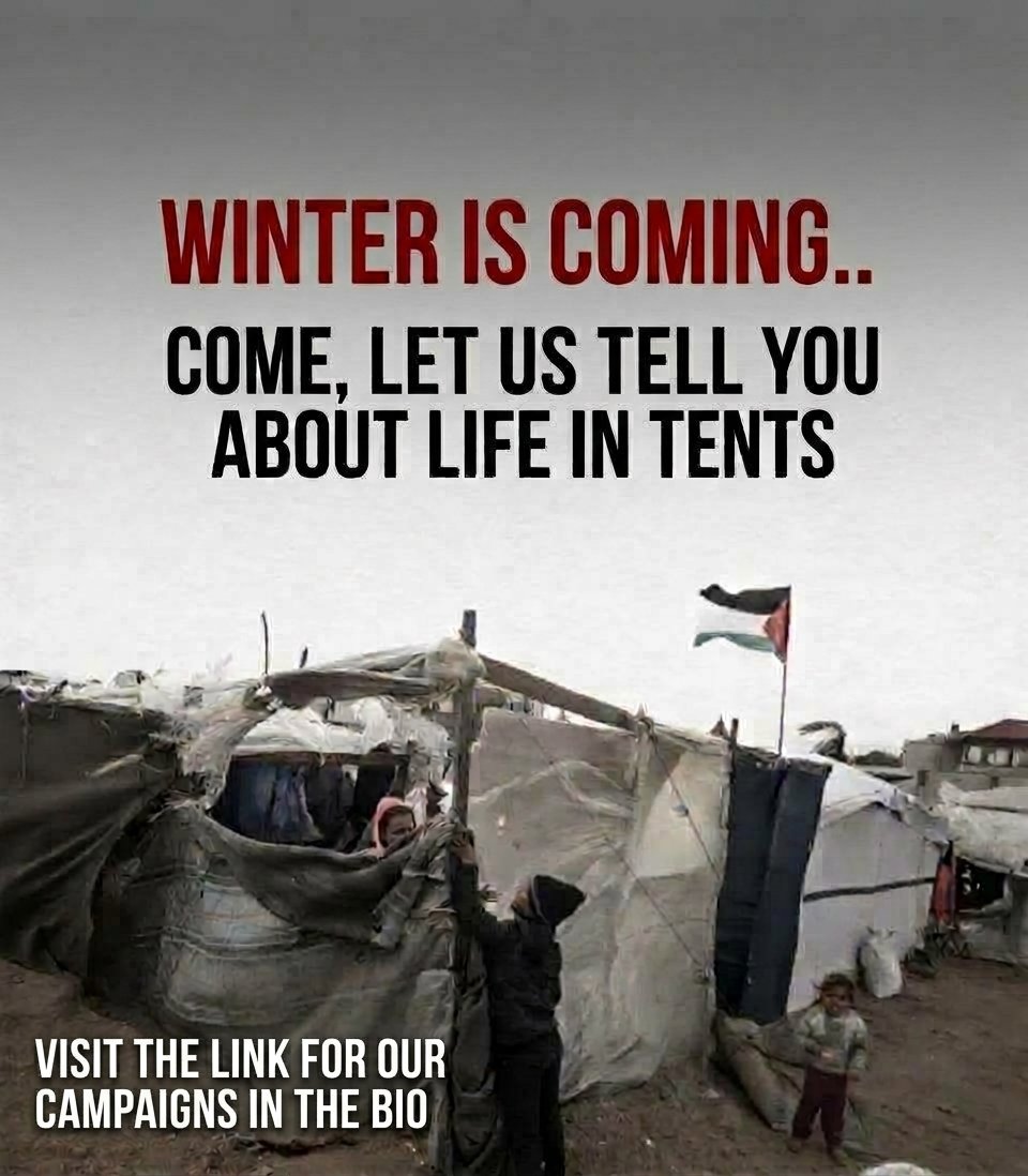 AHMED24595's tweet photo. رابط حملاتنا القانونية والموثقة بالكامل
Link to our fully documented legal campaigns
👇🏻👇🏻
https://t.co/IDhQe6ZVlT https://t.co/v1CaWPfQni