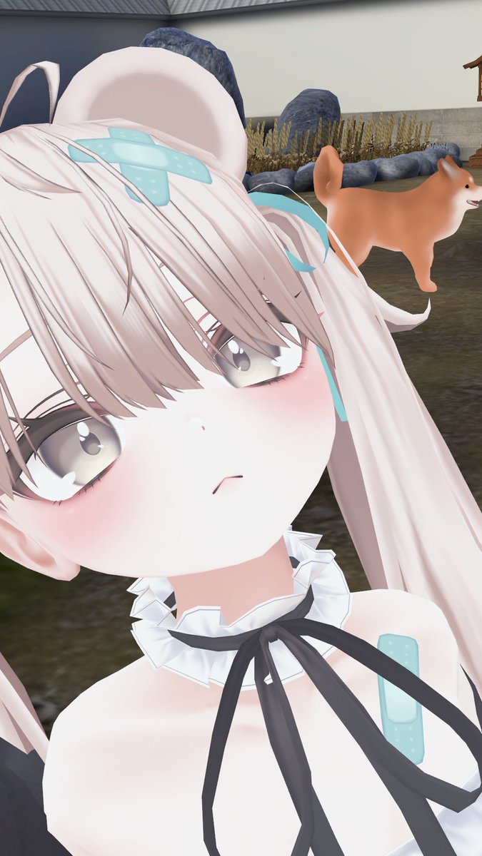 Ninchapi's tweet photo. おはざいます〜っ☀️ ᐢ. ̫ .ᐢ ♡

VRChat始めてから毎日新鮮すぎる😂

初心者やけど、仲良くしてくれる人募集中です🫶

 #VRChatフレンド募集  #VRChat始めました https://t.co/FKaEQc1FGQ