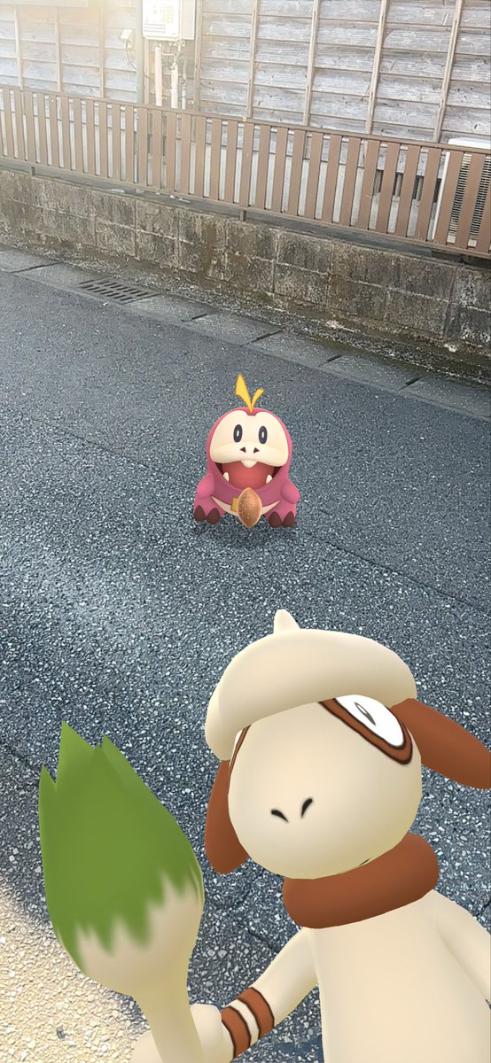 wbc_0318's tweet photo. ぽたもんがんばったね🎀

#ポケモンGO 
#最高の相棒 https://t.co/ZuQoZiSFiW