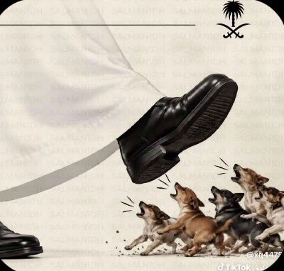 pog8lo8opl's tweet photo. @1itsmila نازلين الساحه ندعس امثالك المهووسين بالسعوديه العظمى https://t.co/QQcmKpt7vM