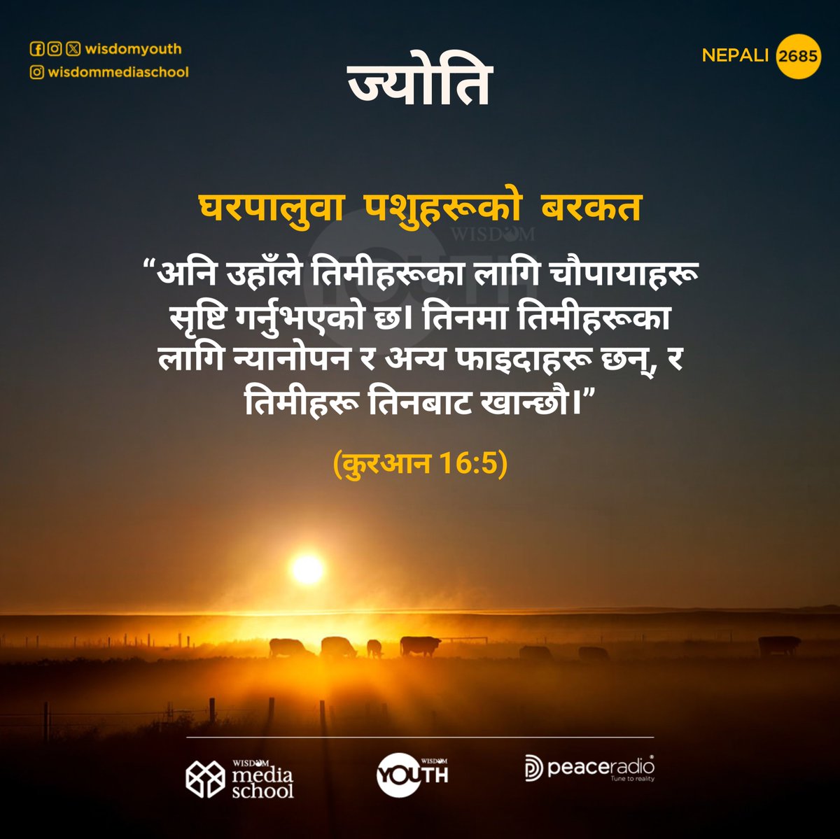 Wisdom_Nepali's tweet photo. ज्योति | 2685
🟨 Follow us on Threads 
https://t.co/BqWpqM8y7p

🟩 Follow our WhatsApp channel 
https://t.co/ftCVB7FTKb

#thelightnepali #qsvnepali 
#wisdomislam #dailyqurannepali #wisdomnepali https://t.co/34QMHPrguJ