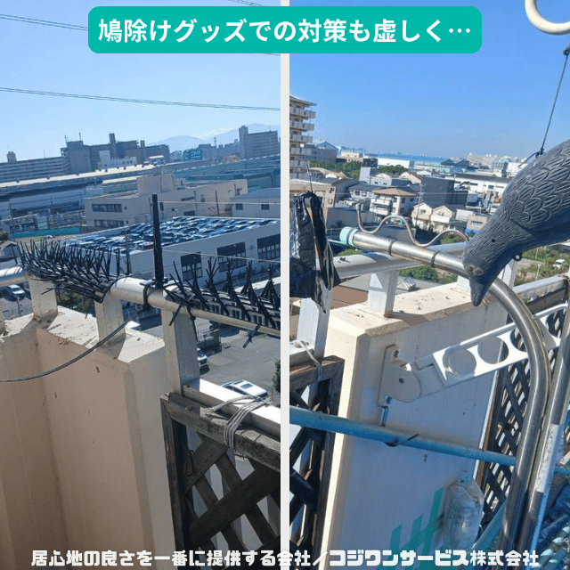 cozyone_PR's tweet photo. 【施工事例紹介】
『鳩除けグッズによる対策虚しく鳩糞で汚損されたベランダを清掃』

 - ハウスクリーニング専門店のコジワンサービス(株) -https://t.co/SZOdcCSP26 https://t.co/L8RoYPx8m4