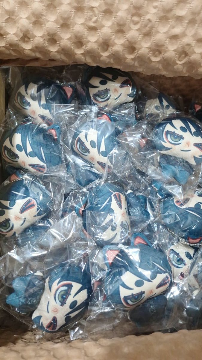 alexmusttodraw's tweet photo. First batch of plushies is finally on Mexico yayyy! https://t.co/8J6iCdSqOS