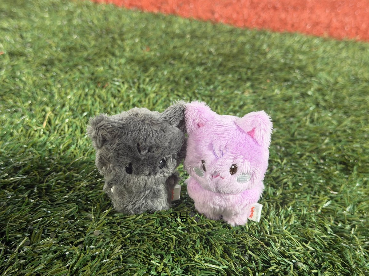 yunning_0314's tweet photo. #에이티니_트친소 #에이티니_승선소

안녕하세요! 승선한지 2달을 향해 가고 있는 신입티니입니다 🏴‍☠️
2n살 롯데 시구 온 우영이가 입덕/최애멤이고 8명 모두 사랑합니다(어떻게안해요)
8년 만에 하는 덕질이라 서툴지만 같이 갑판 닦아요오..🖤

♡ = f
rt = f &amp; dm

(사직그라운드 위 우요냥&amp;산덕이) https://t.co/aIzXiUVWML