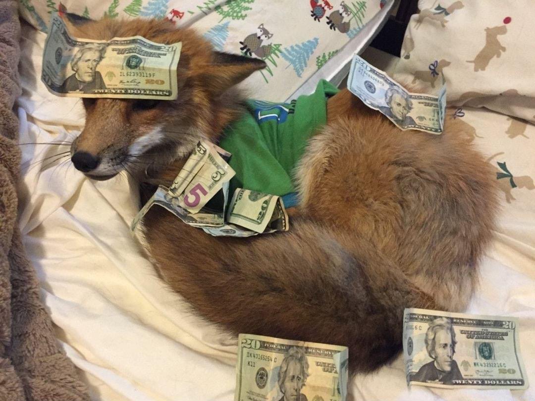Joey_FS's tweet photo. 🙏 BLESSED FOX SHRINE OF WEALTH 🙏

REPLY WITH YOUR OFFERING ✋ https://t.co/9uKDg4lJgh