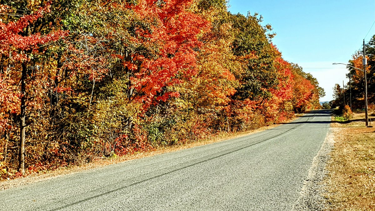 GreginCAN's tweet photo. The Autumn colours of Algoma,  northern Ontario,  Canada.

#fallcolours
#autumncolours https://t.co/soQaQ8cTVo
