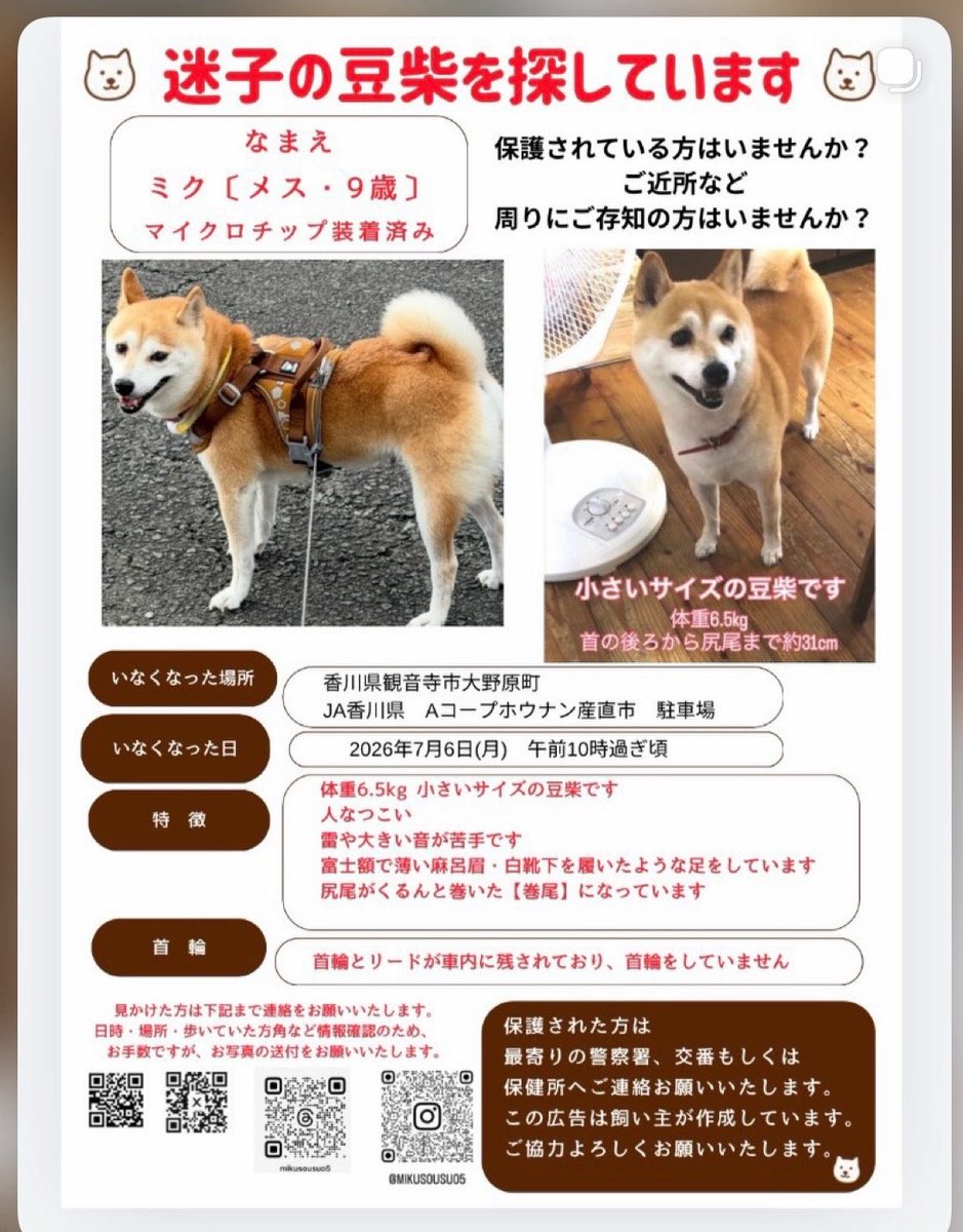 wu4gqfmiku's tweet photo. 【#拡散希望 #迷子犬】
7/6に香川県観音寺市大野原町で失踪した豆柴の「ミク」を諦めずに捜しています。
目撃、どなたか保護して頂いている等情報がありましたらご連絡宜しくお願いします。
体重6.5kg
特徴：はっきりした富士額、白靴下、巻尾、マイクロチップ有
#香川県 #観音寺市 #大野原町 #豆柴 https://t.co/EJcObTtVC3
