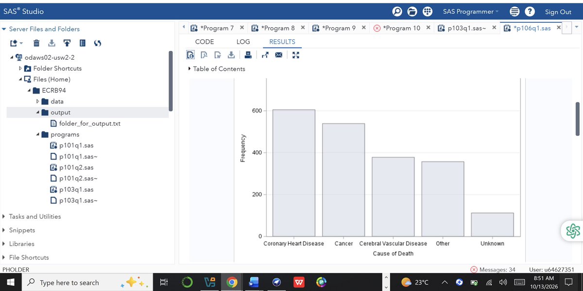 JOANALYTIC59763's tweet photo. Mastering SAS transforms raw data into insights. I built automated workflows using text standardization, custom formats, and descriptive stats like PROC MEANS to drive business decisions. 🚀 #SAS #DataAnalytics #Analytics https://t.co/H3tPQoEI1e