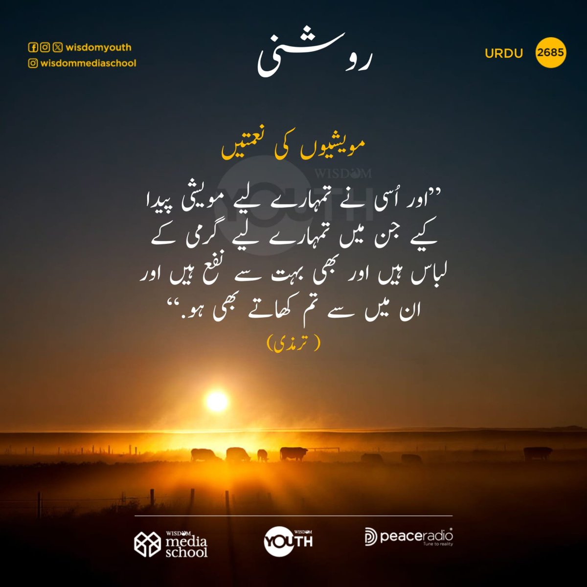 WisdomUrdu's tweet photo. 2685 | روشنى

🟫Follow us on Pinterest 

https://t.co/NpDO1MGRK2

🟩 Follow our WhatsApp Channel

https://t.co/oLx9prnjsI

#thelightUrdu
#qsvurdu
#wisdomIslam
#dailyqranurdu
#wisdomUrdu https://t.co/XqX5P7il8Z