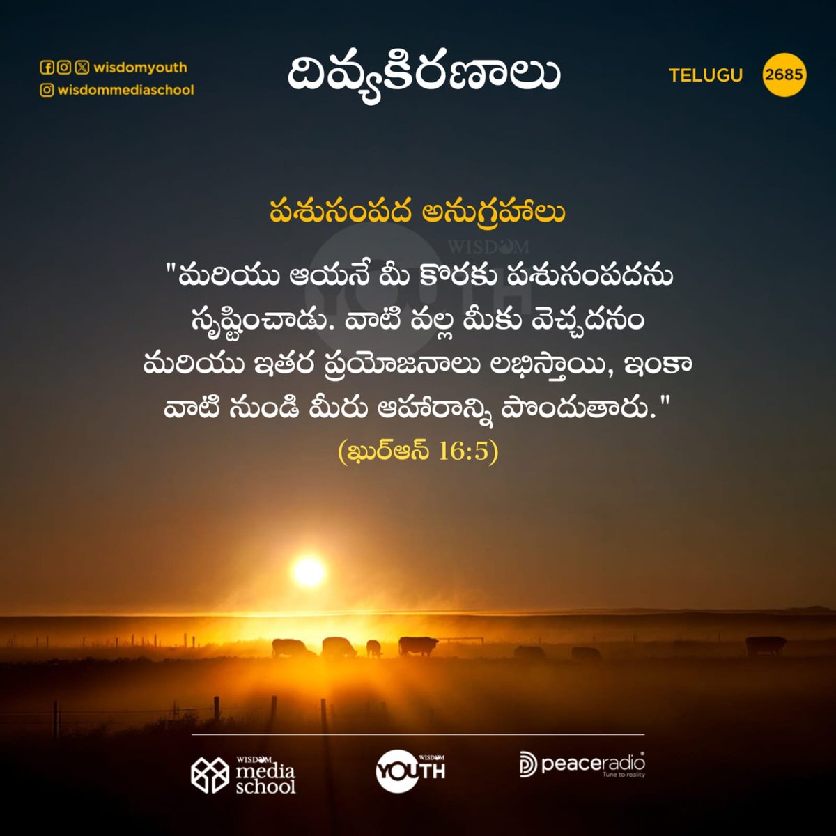 Wisdom_Telugu's tweet photo. దివ్యకిరణాలు | 2685

🟦 Follow us on Telegram:-https://t.co/KreZRRMgSr

🟩 Follow our WhatsApp Channel 
https://t.co/OKREGtM5J4

#qsvtelugu #quranstatusvideo #wisdomtelugu  #wisdomenglish #wisdomislam https://t.co/DUgbsFSCRy