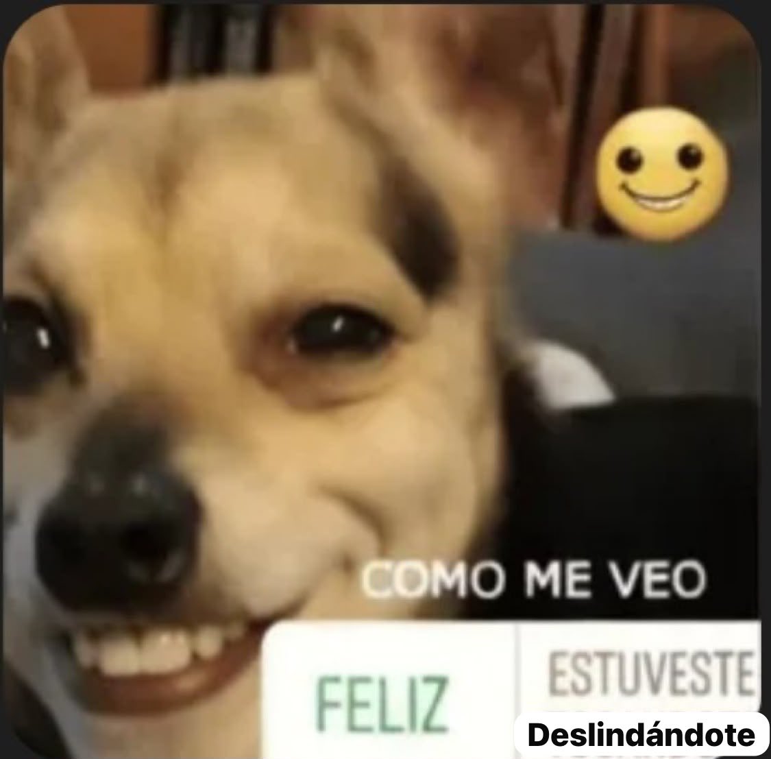 cl4ul0l's tweet photo. yo cuando m empieza a valer verga la clase https://t.co/pj30oxz2jl