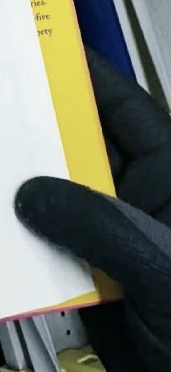 MoMoneyMoProb11's tweet photo. @gwynvalkirie I just looked at the photos and the inside boarder does match the pink on top fading to yellow on the bottom. Seems like a crazy detail for AI to do. https://t.co/sZrKCkTSVT
