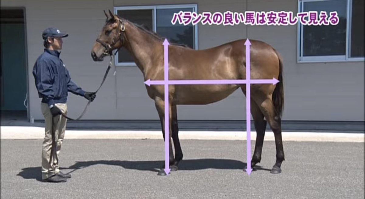 kyousouba1chan's tweet photo. ポイント https://t.co/eVbTptxJm2