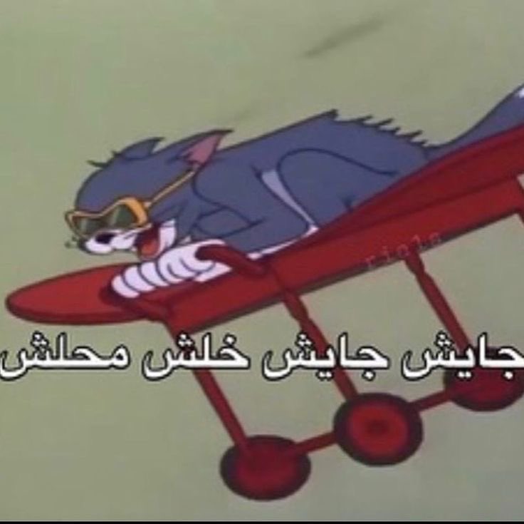 nnhr016's tweet photo. وين الوجهه؟ https://t.co/HJkifTtqaV