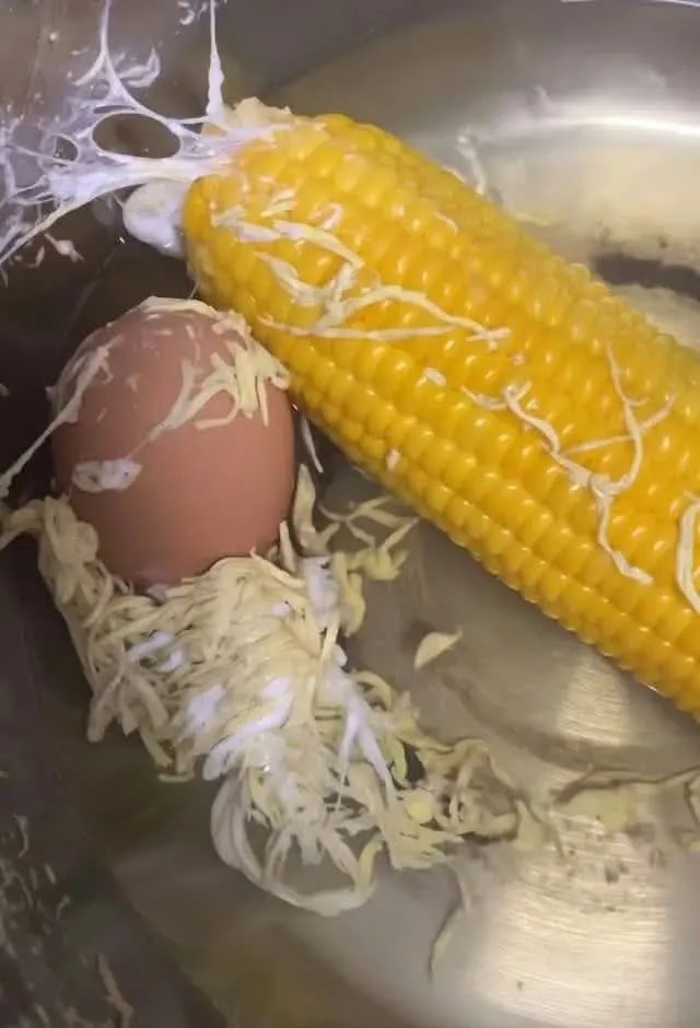 goivvf's tweet photo. LAGI REBUS TELUR SAMA JAGUNG, KOK MALAH MUNCUL PUTIH-PUTIH BEGINI YAA😭😭 Ada yang tahu ini kenapa? Aku jadi bingung sendiri lihatnya. https://t.co/Fvb6ZH9wUV