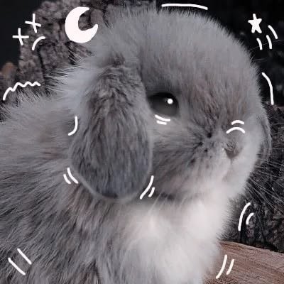 iam_only_alex's tweet photo. Mañana vamos a ayunar todo el dia hasta la noche que tengo que cenar si o si aunq voy a intentar evitarlo.
De paso aviso q se buscan mutis activ@s 
#edtwt #edtw #ayuno https://t.co/2mLywGZBFh