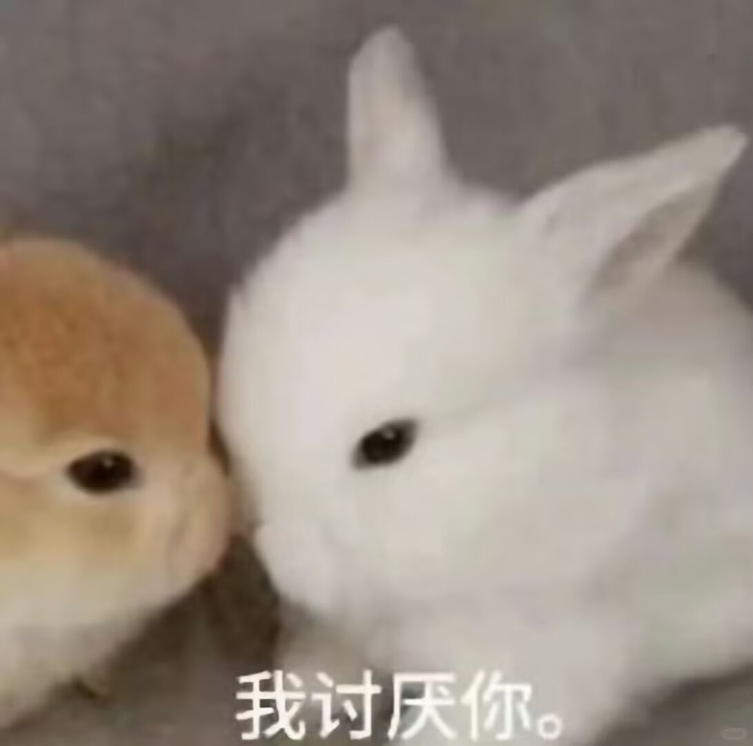 Lalalalaluk's tweet photo. ：又讨厌我啦？
：我讨厌你！！ https://t.co/nX16xyq68G