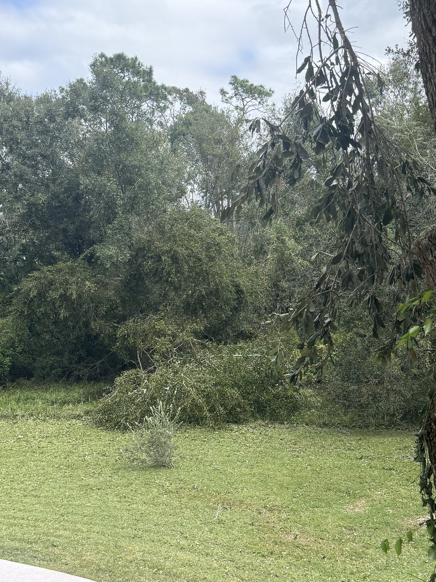 awkwardasstat's tweet photo. So many downed trees in Gonzalez/Cantonment across the bridge from Pace. I lost my favorite critter watching tree. Power lines are still down in my neighborhood. No cell service. No one is coming and we need help #hurricaneisaias … https://t.co/VQQHQXBoMo
