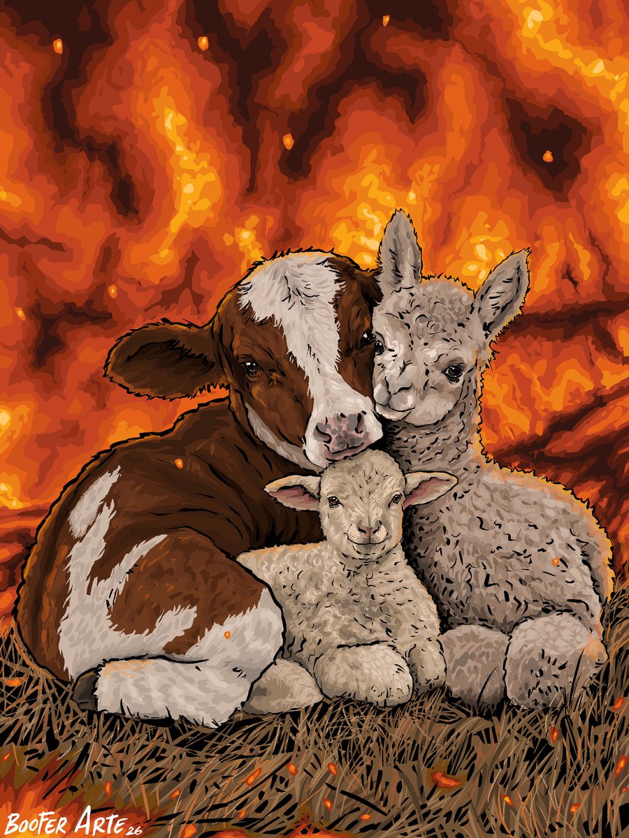 BooferArte_'s tweet photo. ARDE LA INDIFERENCIA  

Más de 135 incendios forestales en el Perú y miles de vidas en peligro. Mientras las tierras arden y los animales no tienen cómo escapar, el apoyo del gobierno es miserable, todo esto mientras la diktadora crea comandos para terruquear.
#booferarte https://t.co/HfCTnfPpyL