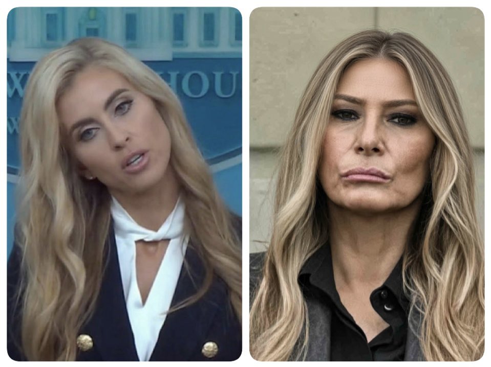 CjMfdt's tweet photo. Kate Zacharia has a law degree just like Melania Trump can speak 7 languages 
😂😂😂😂😂😂😂😂😂😂😂😂😂
Who actually believes this crap? https://t.co/NZGlacpJLs