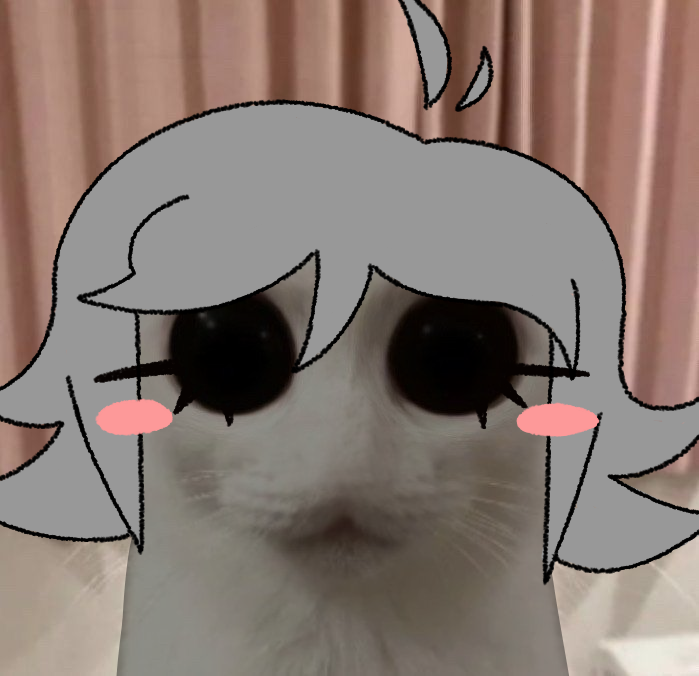 TartSharer's tweet photo. the lolcat stares https://t.co/1Ev4bTxEIi
