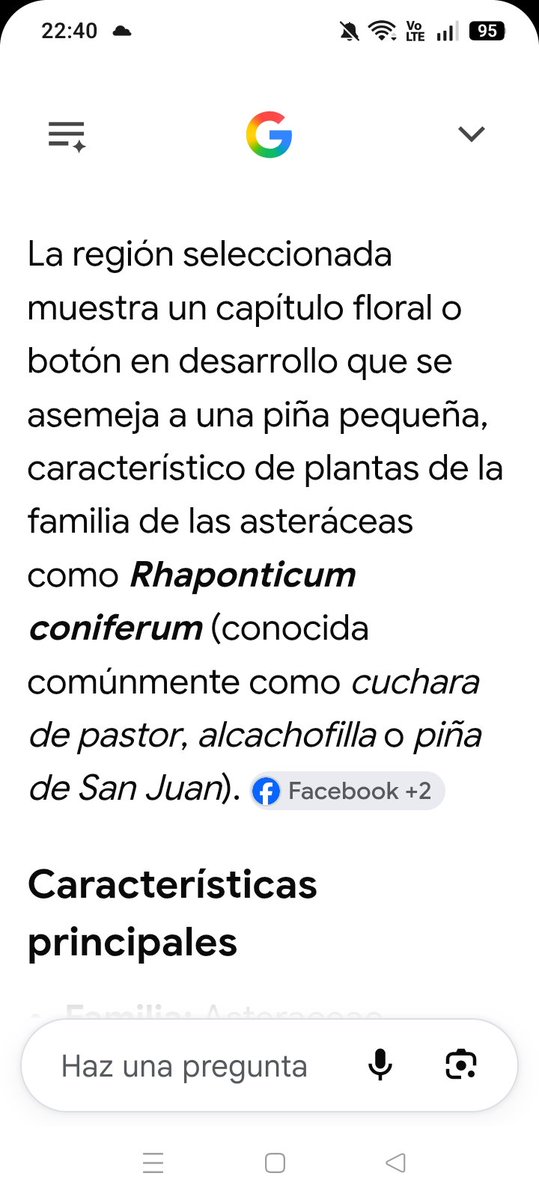 misukaul9's tweet photo. @CarlitosX1979 Puede ser esa ? Dice el señor de IA https://t.co/LJ6wmaAwyR