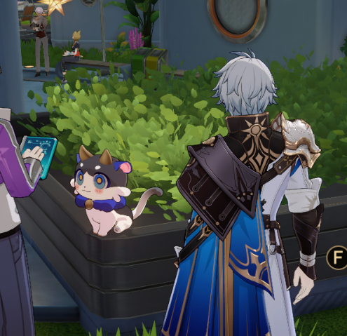 aruhaizensama's tweet photo. ???? THERE'S A CIPHER CAT HERE BUT YOU CAN'T GET ONE??? https://t.co/zgm88DYUS7