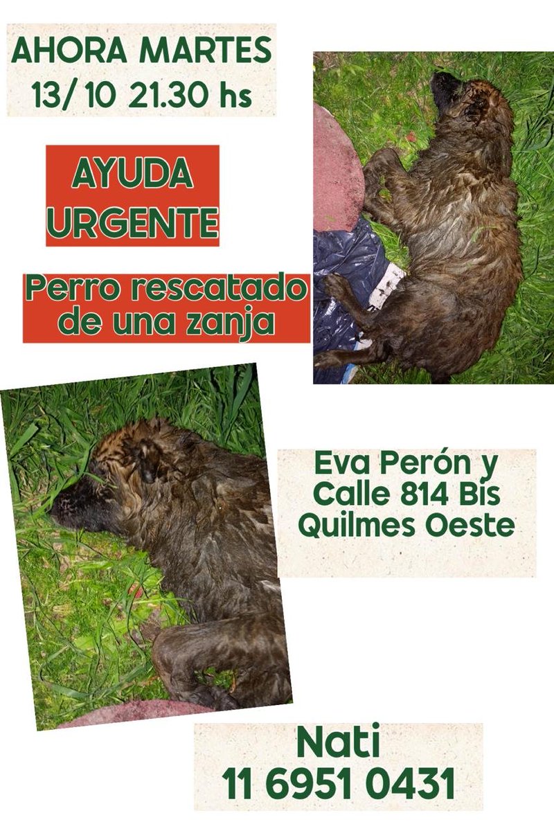 patripeyrou's tweet photo. Difundimos 
Rt https://t.co/3EvpL8EqzP