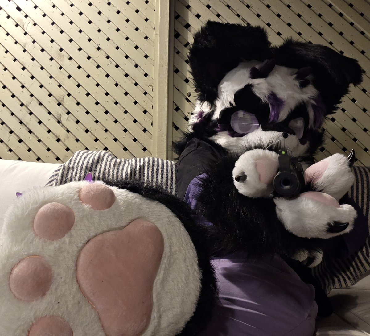 wolfsafurr's tweet photo. Hunting Season 🐾💜

#furry #femboy https://t.co/hFI1BjSVIV