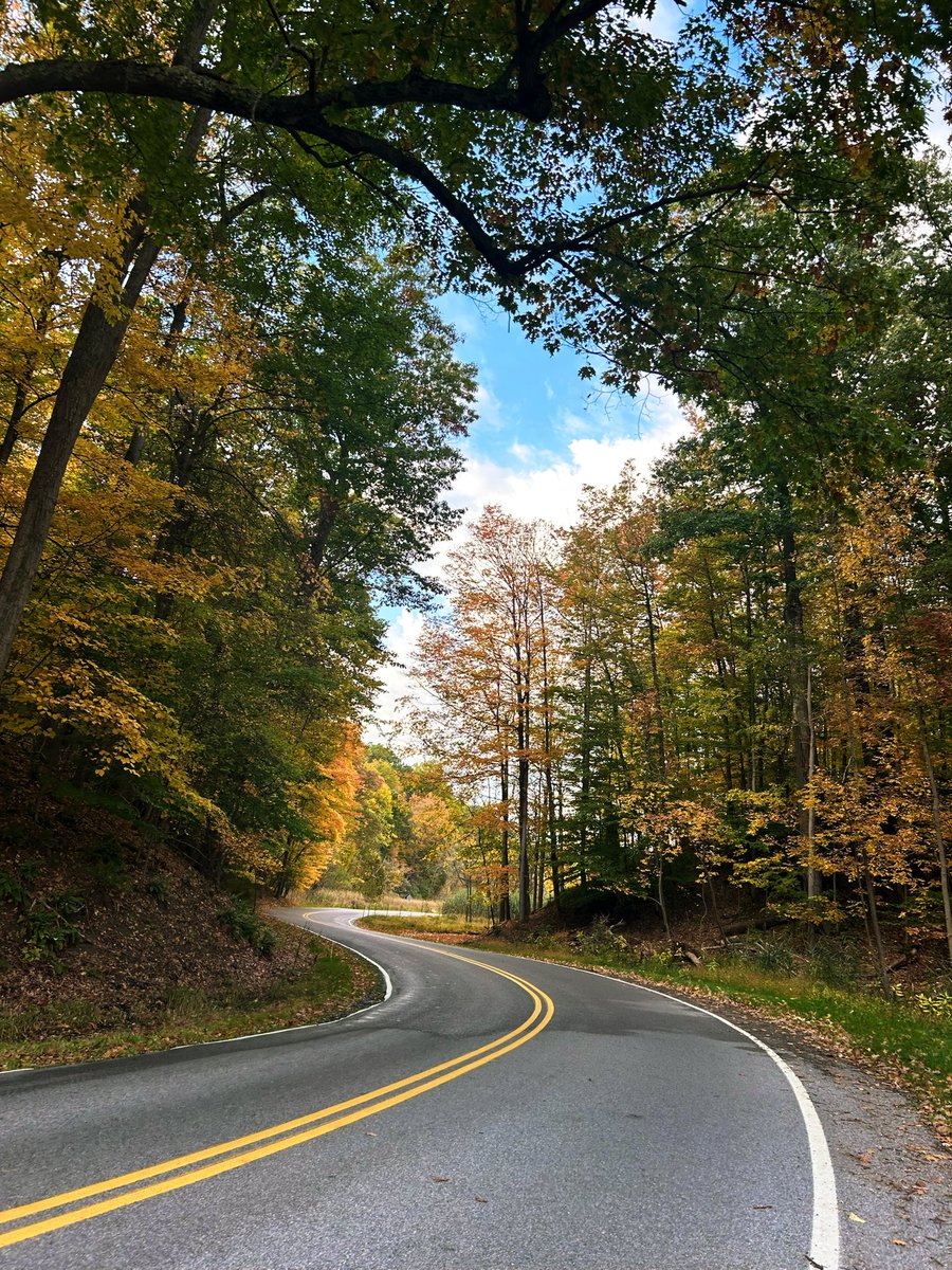 KymFaith13's tweet photo. Went for a hike today and part of the forest looked like the road to Riften the way it was all green and golden hour was peaking 💕🥰 https://t.co/yZLX6oiUCZ