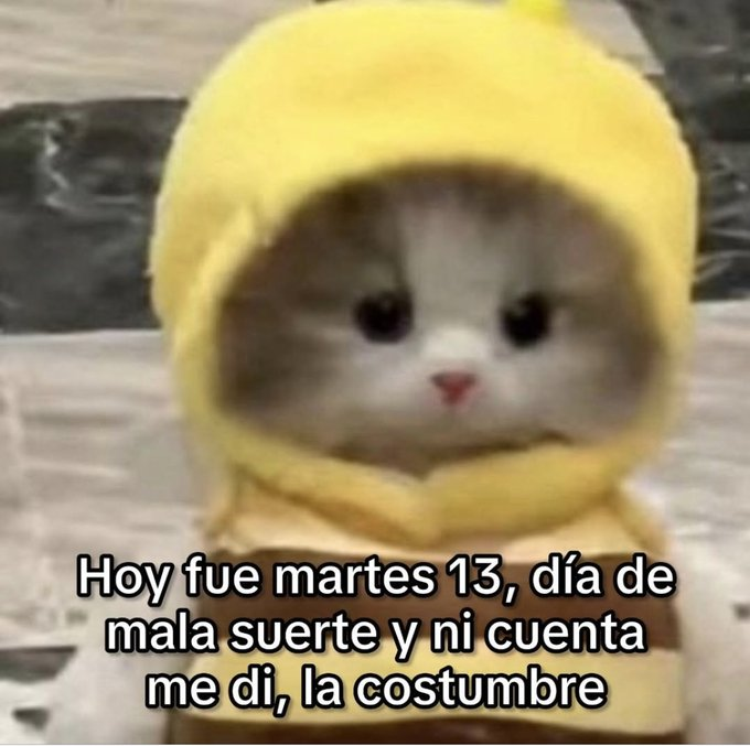aleeparra08's tweet photo. https://t.co/0cbBgv9wGU