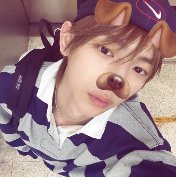 artkmnky's tweet photo. 🐢 looking for interactive moots.ᐟ

— new to #coertwt
— berin, 18
— filo she/they

#promotwt #anitwt #anytwt https://t.co/Gg6SzC54pe